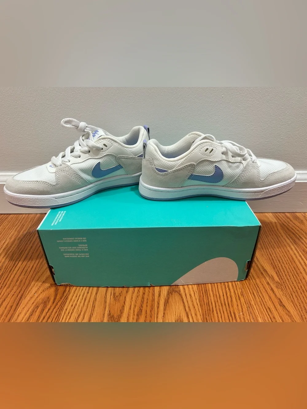 Women’s Nike SB Alleyoop